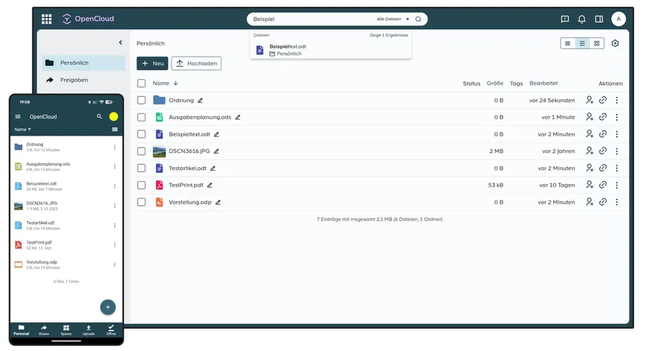 OpenCloud Interface Preview